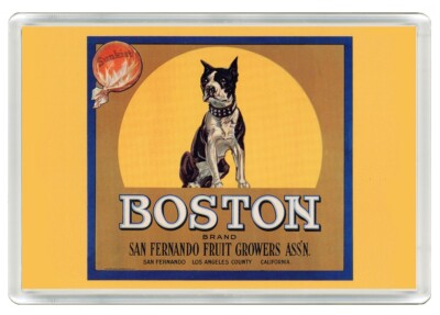 BOSTON TERRIER OBST WERBUNG HUND ACRYL KÜHLSCHRANKMAGNET TOLLES GESCHENK