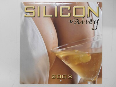 '96 Silicon Valley　カレンダー・ポスター s-l400.jpg