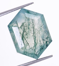 Natural Moss Agate Faceted Cut Hexagon Shape 14X10mm Loose Gemstone 5.50 Ct.