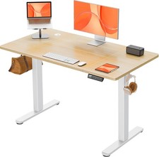 ErGear Height Adjustable Standing Desk 120x60cm Light Wood EGESD8