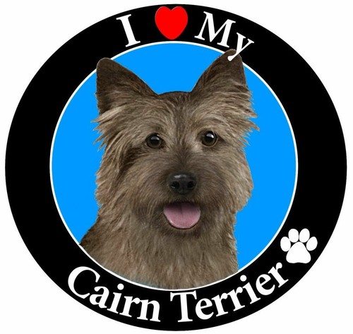 Dog Car Magnet Round - various dog breeds - Picture 26 of 37