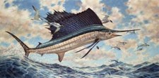 Ceramic Backsplash Tile Mural Fishing Saltwater Fish - Sailfish Airborne