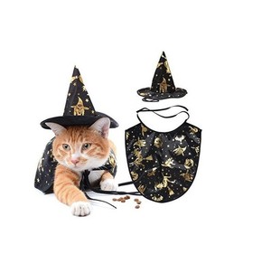 wizard cat costume