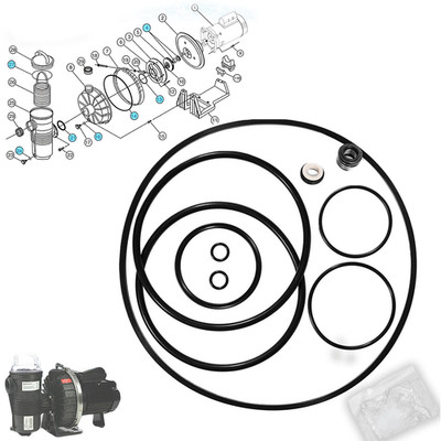 Complete Pump O-Ring Rebuild Repair Kit for Pentair Challenger Pool Pump Models
