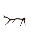 3d Printed Montana Elk Shed Replica Brown #1000# — photo 2