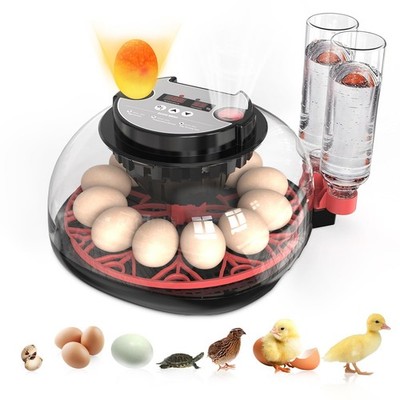 Incubators for Hatching Eggs Automatic Egg Incubator with Temperature Control...