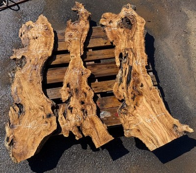 Olivenholz Baumscheibe Holz Bohle Brett Holzbrett Olive Eichenholz Eiche Epoxy 