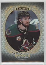 2020-21 Upper Deck Stature Rookies Portrait Variant 95/99 Jordan Gross #103 13o2
