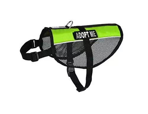  Dogline Adopt Me Vest Patches – Removable Adopt Me