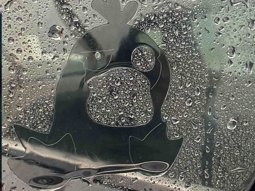 Psyduck Pokemon Customized Clear Anti-fog Rainproof side mirror decals (2 pcs) - Picture 2 of 5