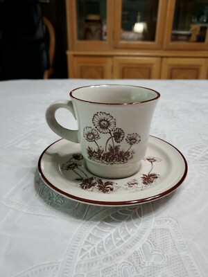 NORITAKE STONEWARE DESERT FLOWERS 8341 Cup and Saucer Set GUC AVAILABLE 