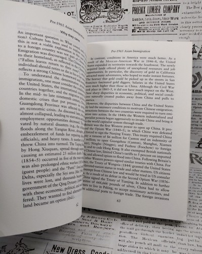 Asian Immigration to the United States, Paperback by Yang, Philip Q., Brand N... - Picture 9 of 15