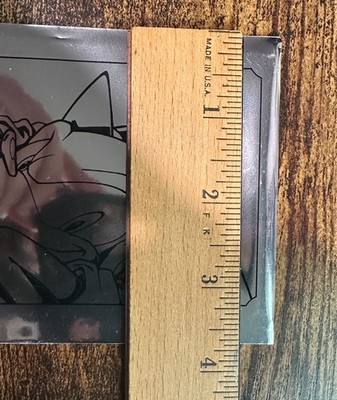 Sonic The Hedgehog Holo Ticket (SHADOW) Sonic Stadium Hong Kong