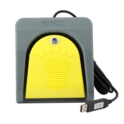 USB Double Foot Pedal Gaming Control Video Customized PC Keyboard Multimedia Key