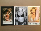 Lot  3  Cartes Postales   EVA HERZIGOVA   Sexy  Pin Up  Femme  Woman  Nu  