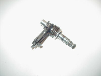 え。 Lack of ApoA-I in ApoEKO Mice Causes Skin Xanthomas, Worsening of