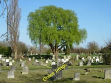 Photo 6x4 Tree in Morden Cemetery Morden/TQ2568 A view over the cemetery c2012