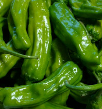 ITALIAN PEPPERONCINI PEPPER SEEDS 50 garden VEGETABLE mild HEAT pickling