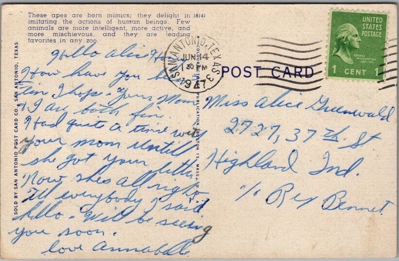 1947 SAN ANTONIO ZOO Texas Postcard Chimpanzees on Tricycle / Curteich Linen
