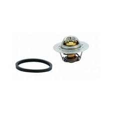 Thermostat Citroen LNA