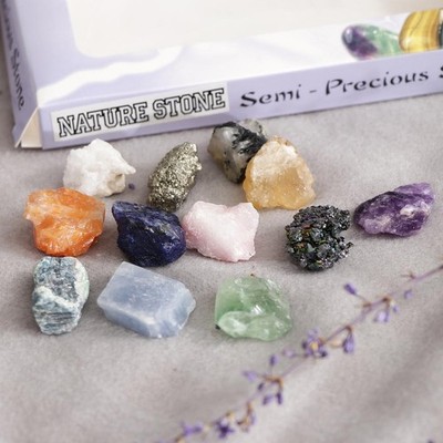 Pädagogische Geologie Wissenschaft Kit Gestein & Mineral Sammlung