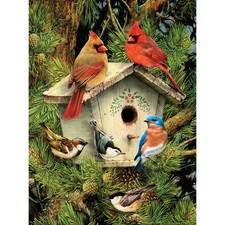 Royal Langnickel R Small Paint By Number Kit 8.75"X11.75"-Native Neighbors