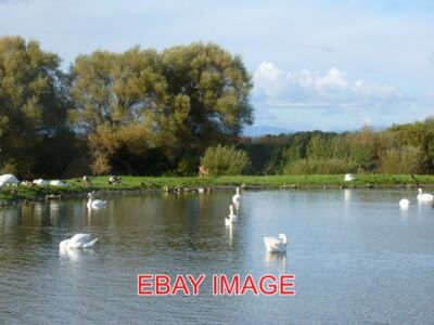 FOTO NATURSCHUTZGEBIET CAERLAVEROCK AUS DEM HAUPTVERSTECK. EIN PAAR WHOOPER