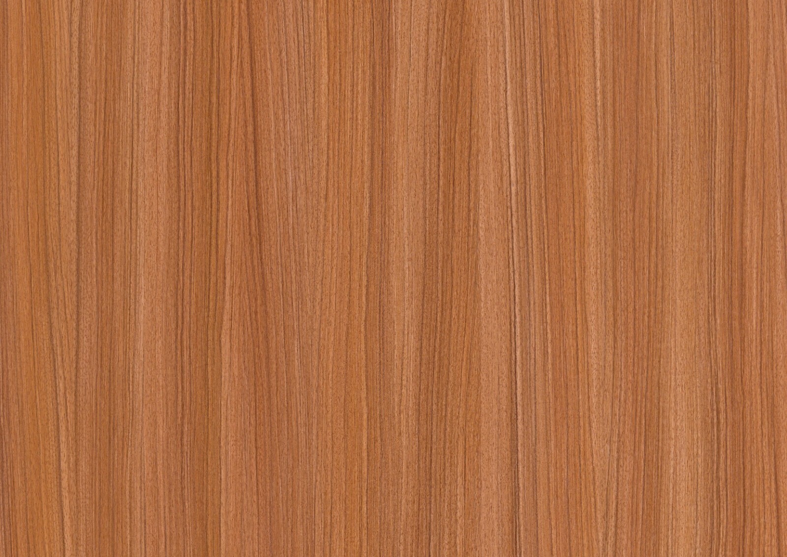 Picture 3 of 6