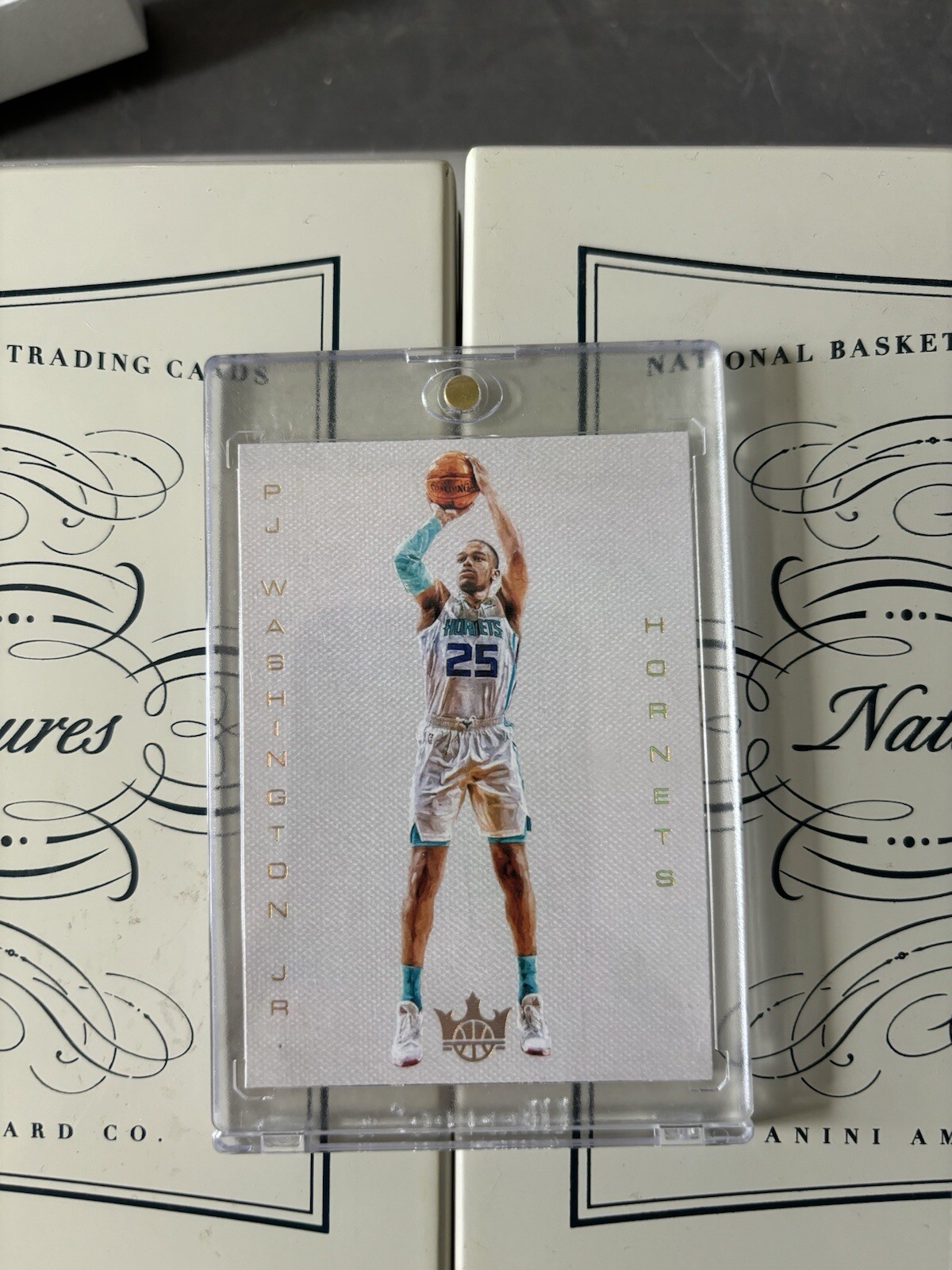 2019-20 Panini Court Kings PJ Washington Jr. Blank Slate