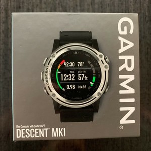 garmin descent mk1 silver