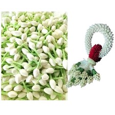 500 Jasmine Flowers Blossom Thai Artificial D.I.Y Handcrafts Malai Decorative