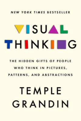 Visual Thinking: The Hidden Gifts of People Who Think in Pictures, Patter - GOOD
