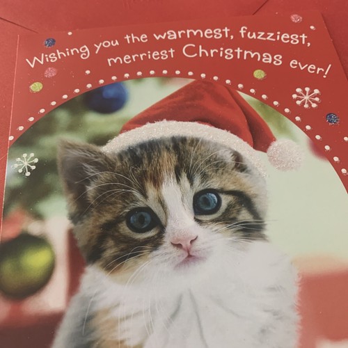 Merry Christmas Wishing You The Merriest - Kitten 5.5”x8” Hallmark Greeting Card - Picture 2 of 9