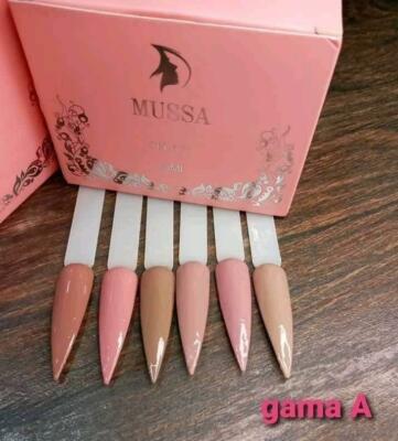 Mussa Gama A Gel Semi Permanente Gel Color UV 6 bottles 10 ml ea