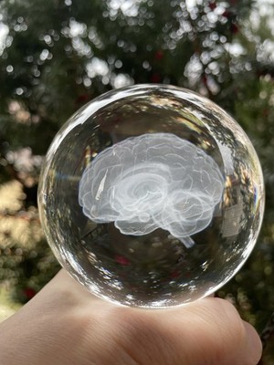 3D Human Brain Anatomical Model Paperweight (Laser Etched) in Crystal Glass Ball