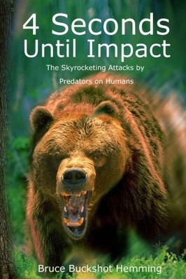 4 SECONDS UNTIL IMPACT: THE SKYROCKETING ATTACKS BY By Bruce Buckshot Hemming VG