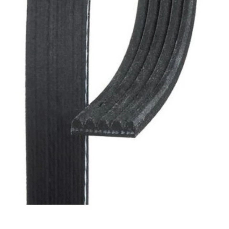 Genuine ACDelco For Mitsubishi Mirage 1995-1997 V-Ribbed Serpentine Belt | Black - Image 3 of 4