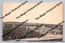 Pastoral Farmland HERNES Elverum Norway Antique Collotype Postcard ~1910s