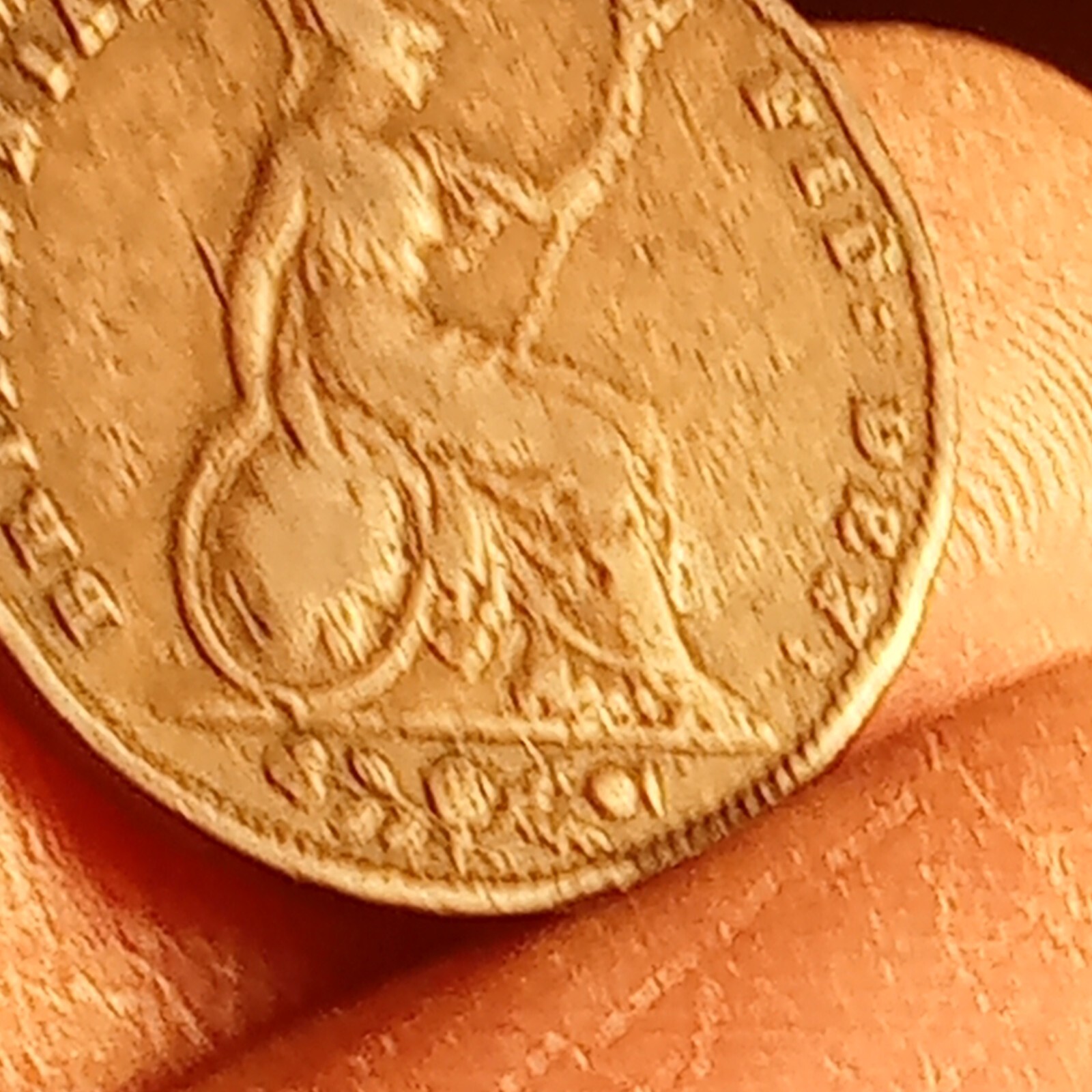 Picture 11 of 13