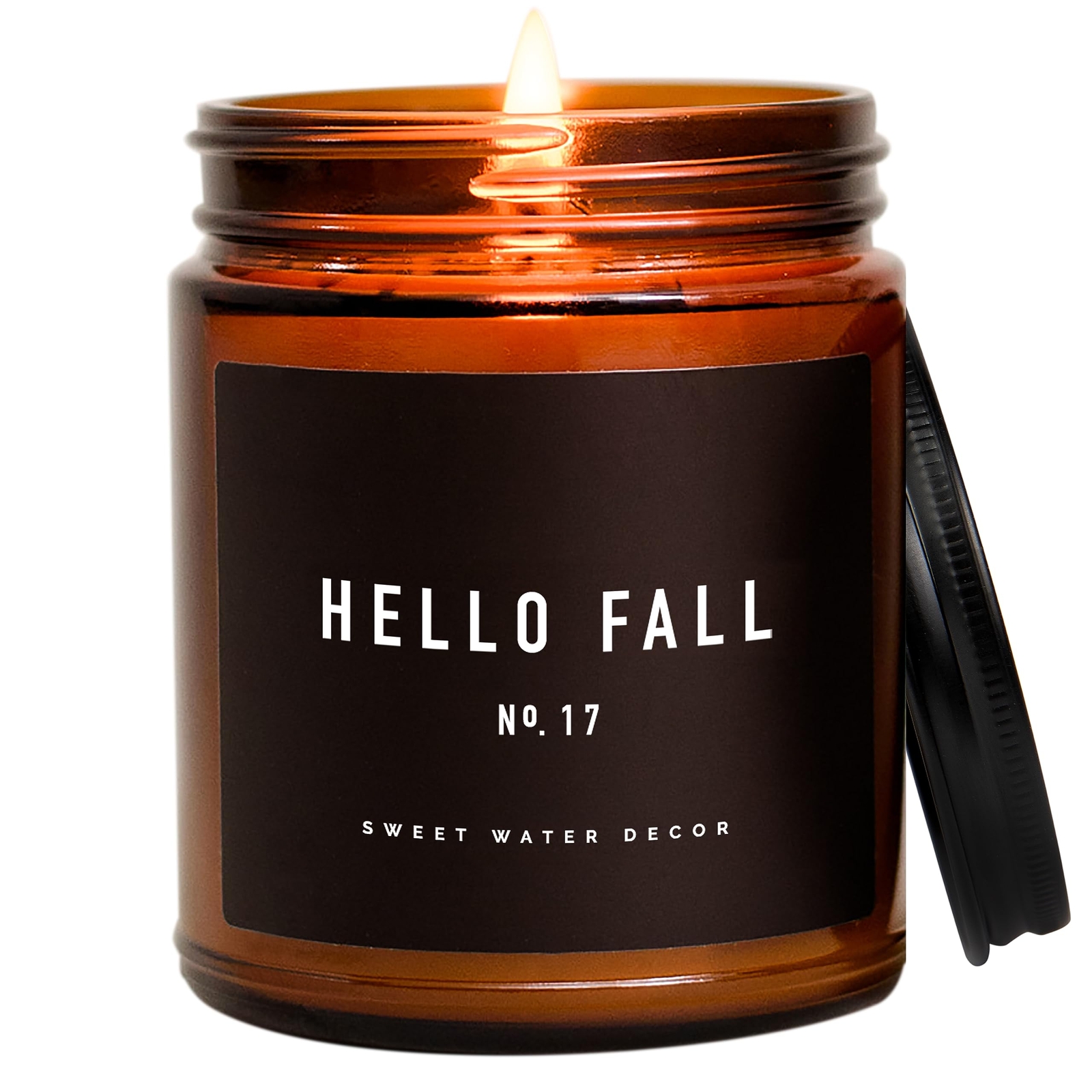 Hello Fall Candle No. 17 | Cider, Cinnamon, Cloves, Apple, and Nutmeg Scented...