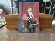 Madonna ++ Postkarte ++ unbeschrieben ++ 54 ++