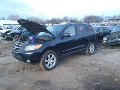 SANTA FE  2008 GAS PEDAL ONLY 2123105