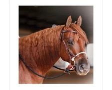 Professional's Choice Ranch Comb Bridle With Smooth Snaffle, Used in Great Condi