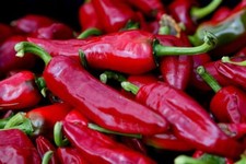 30 graines de piment  rouge long  bio