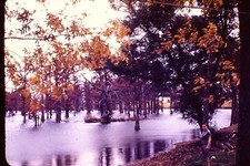 1953 Louisiana Bayou Kodachrome Red Border Vintage 35mm Slide 1950's JNA6