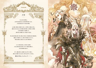 SAKIZO the engraved witch in a fantasy world Art Book Japan
