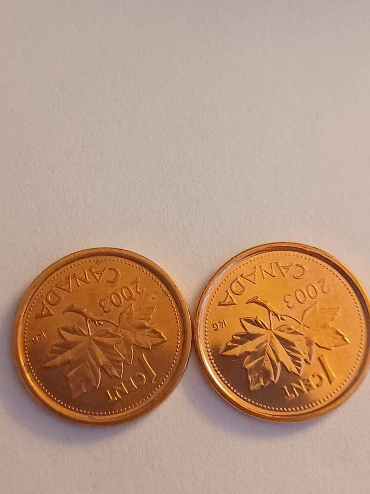 2  Different 2003 Canada Cents 1 Steel and 1 Uncirculated p mint  - Image 3 of 4