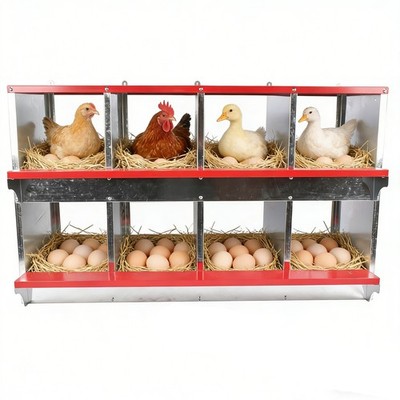 3-10 Holes Chicken Nesting Boxes Wall-Mount Roll Away Chicken Egg Laying Box US