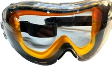 DEWALT DPG82-11C Concealer Clear Anti-Fog Safety Goggle - Clear Lens Glasses