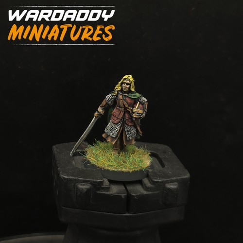 Pro Painted Warhammer LoTr Eowyn Metal Rohan Games Workshop MESBG